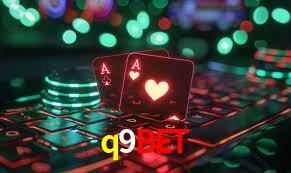 Experiência VIP q9bet